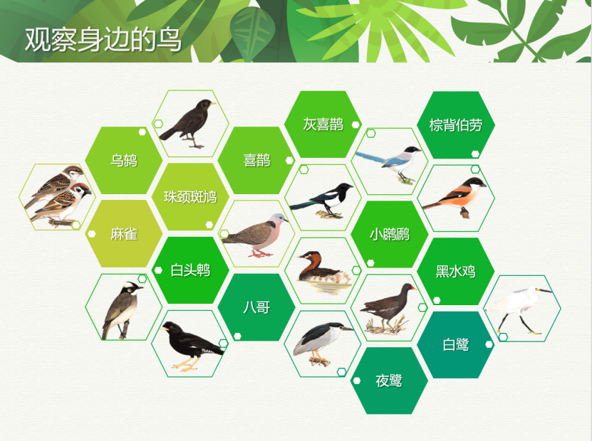 微信图片_20230414170615.png