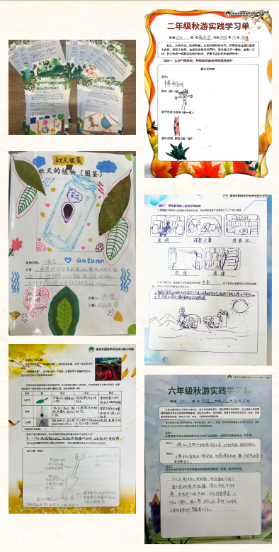 微信图片_20231031161155.png