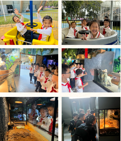 微信图片_20231031160450.png