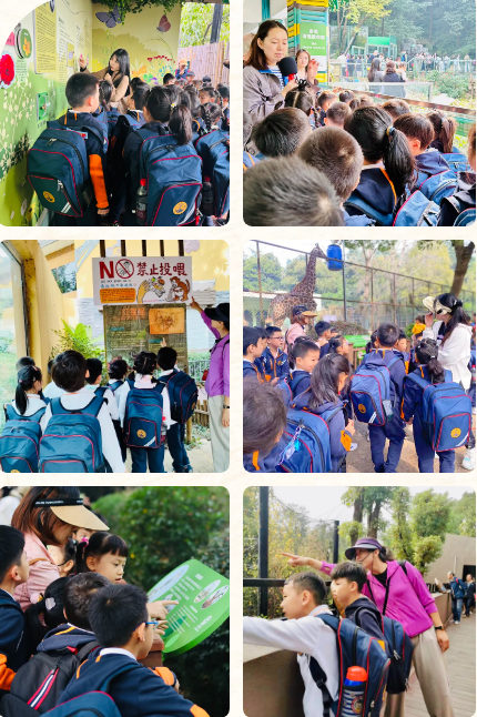 微信图片_20231031094515.png