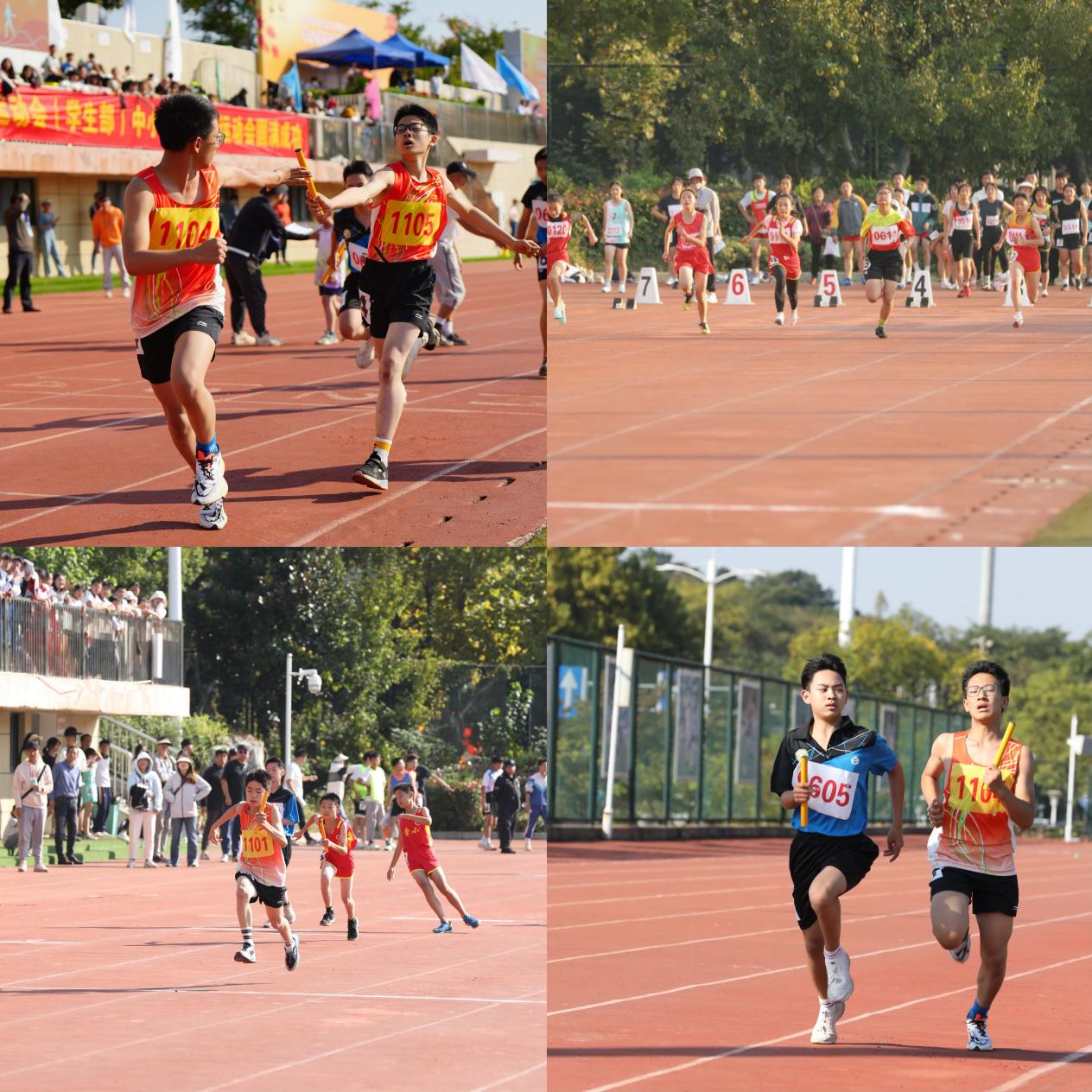 喜报】——2023年栖霞区中小学田径运动会报道_html_1cabdd56.jpg