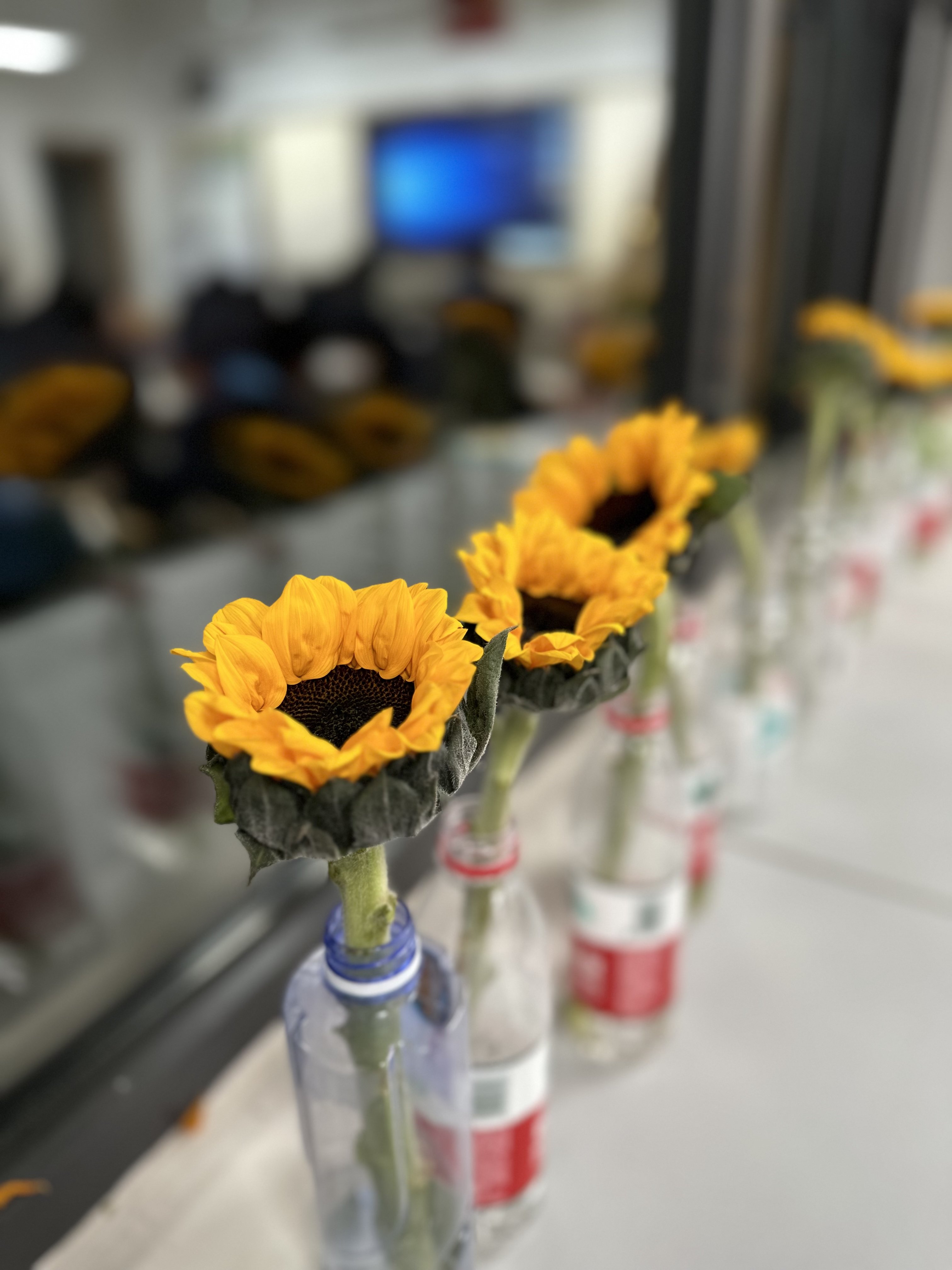 爱拼才会赢，小组拼图比赛——第七周八1通讯稿3.19(1)_html_m2804ce50.jpg