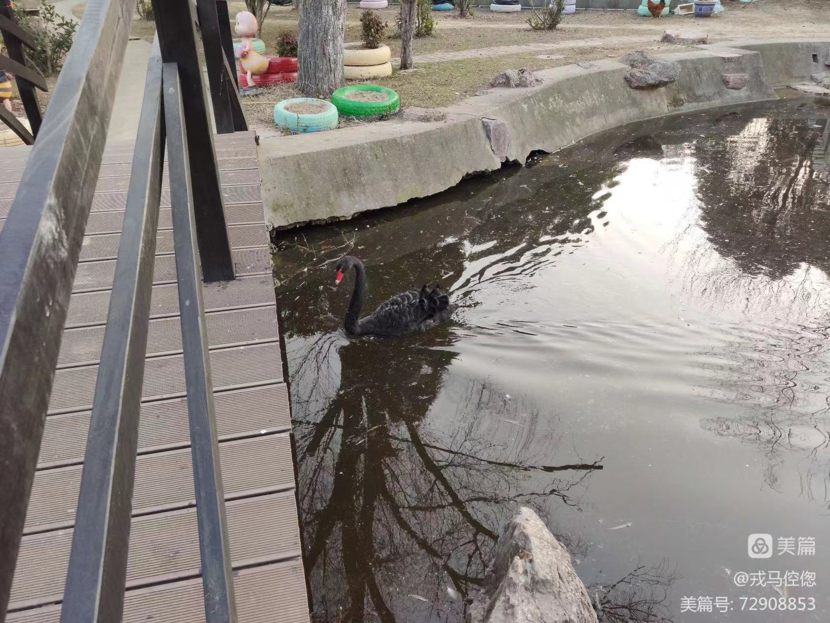微信图片_20230306090924.jpg