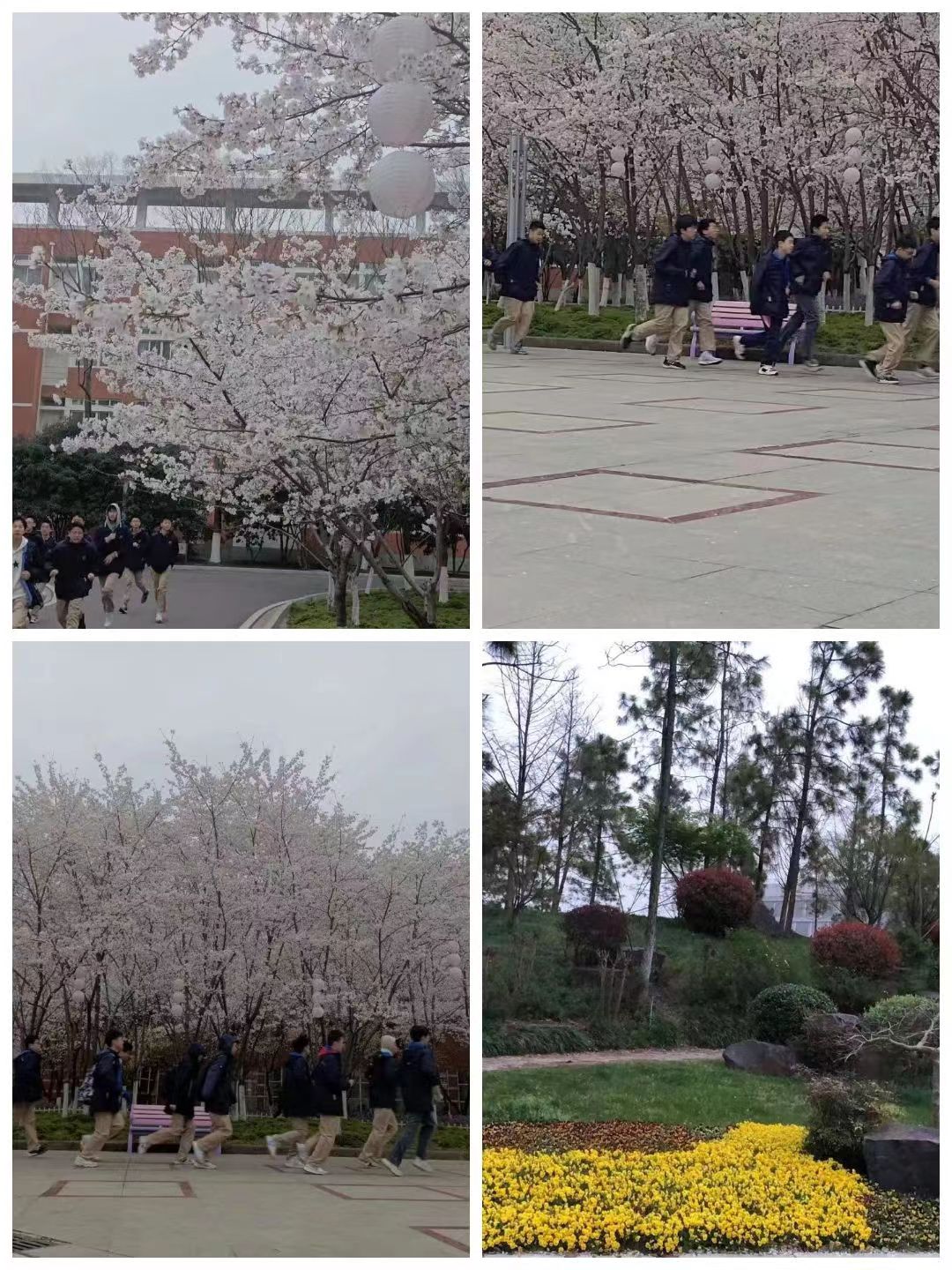 微信图片_20230326155540.jpg