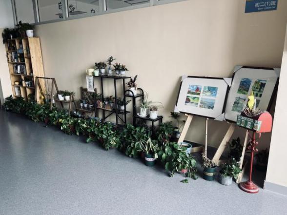 【八6】放飞你我梦想 展示班级风采：初二年级班级文化特色展_html_m32773d55.jpg