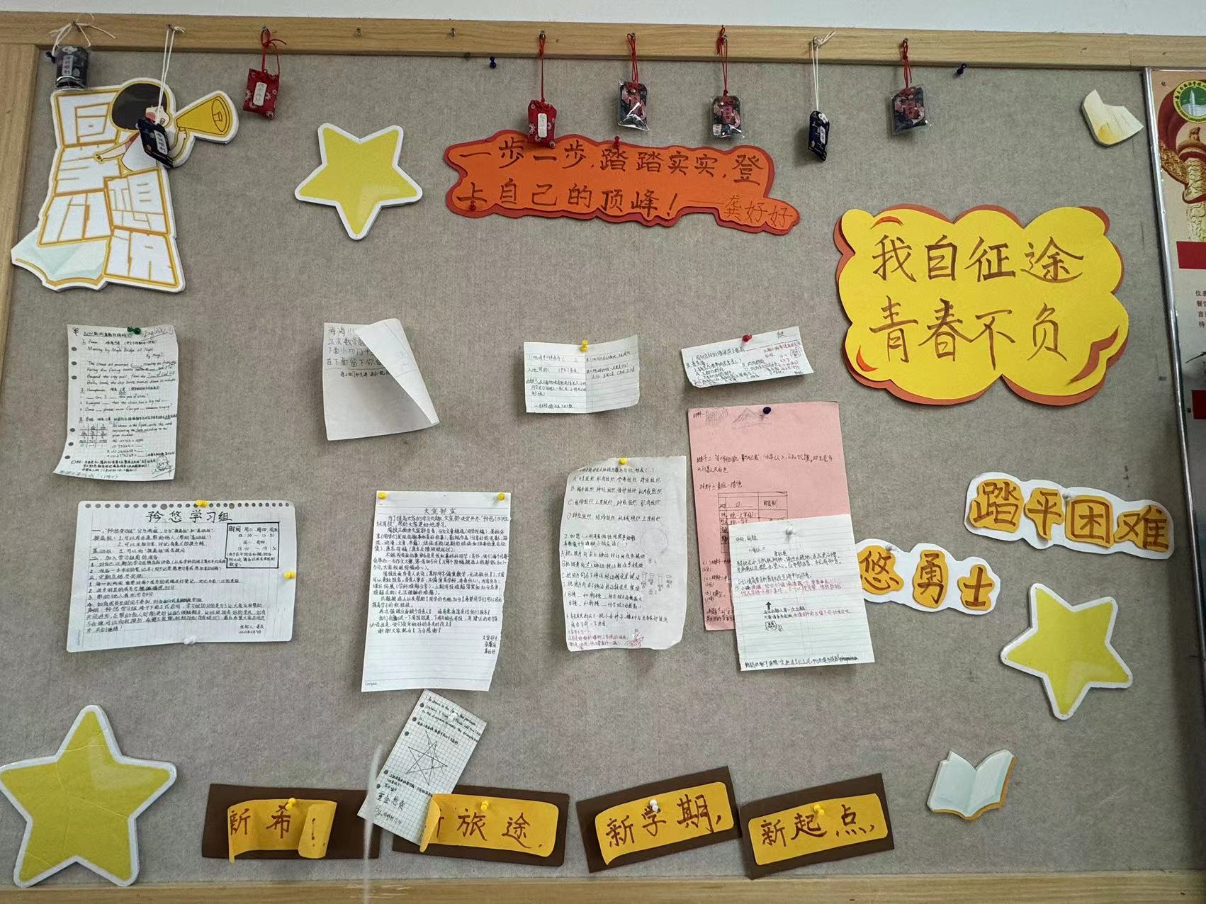 整体板报.jpg