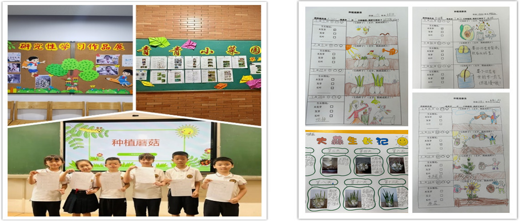 第12期研究性学习成果展示推送 - 副本_html_m7d1f5b1a.png