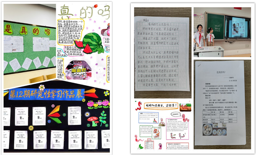 第12期研究性学习成果展示推送 - 副本_html_m82c7708.png
