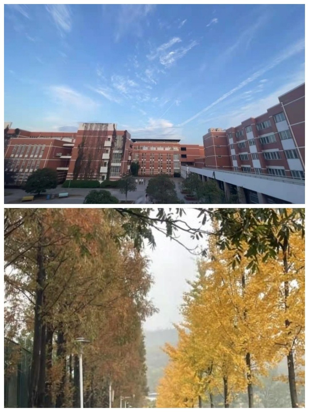 微信图片_20231205161947.jpg